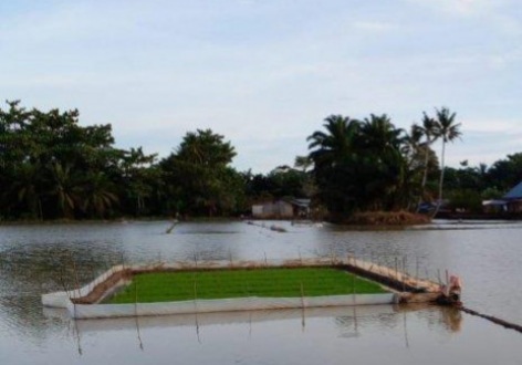 Kementan Siapkan Strategi Antisipasi Dampak La Nina