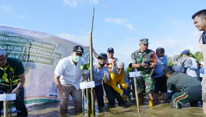 Yayasan Kalla Bersama MYL Tanam Mangrove