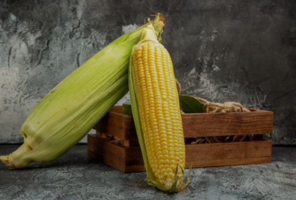 13 Manfaat Jagung Bagi Kesehatan dan Kecantikan