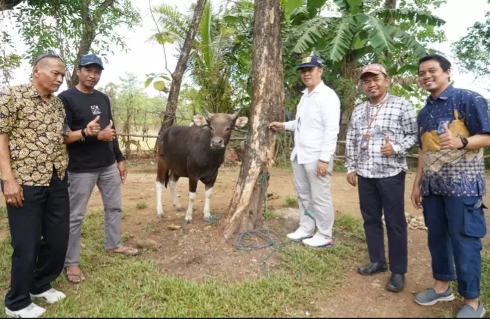 PT Semen Tonasa Serahkan 41 Hewan Kurban Kepada Masyarakat