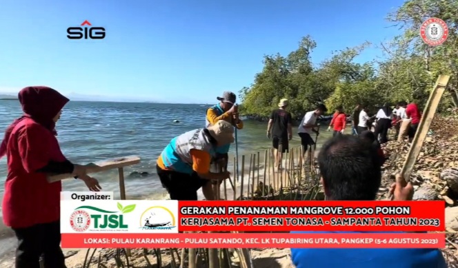 PT Semen Tonasa Gandeng SAMPANTA Tanam 12 Ribu Mangrove untuk Pelestarian Lingkungan