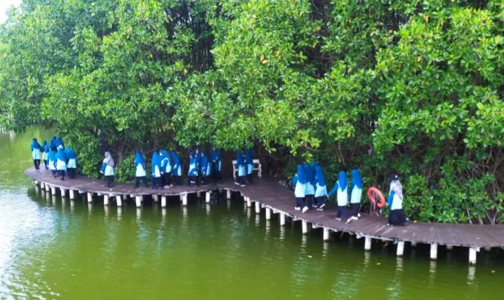 Siswa Kelas 7 SMP Muhammadiyah PK Solo Tanam Bibit Mangrove