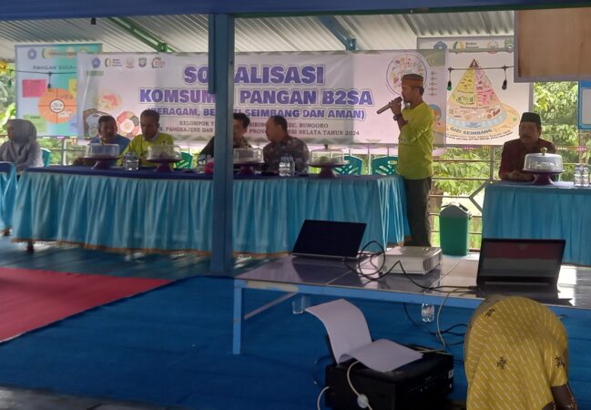 Desa Biringere, Desa Berprestasi dalam Menurunkan Angka Stunting