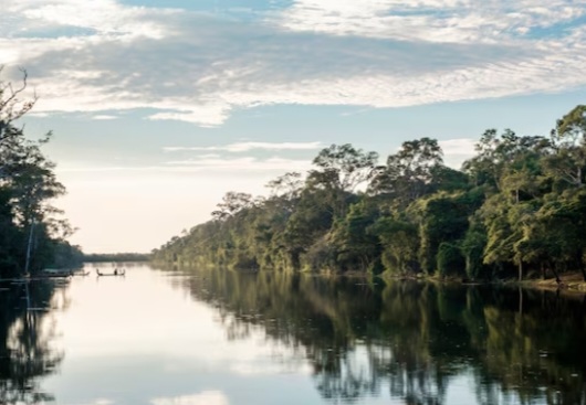 Mangrove dan Kehidupan Masyarakat Pesisir: Studi Kasus di Indonesia