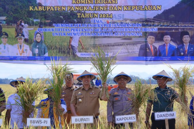 Bupati Pangkep Panen Raya Padi di Daerah Irigasi Tabo-tabo