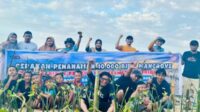 Program TJSL PT Semen Tonasa, Penanaman Mangrove dengan Metode Selongsong Bambu