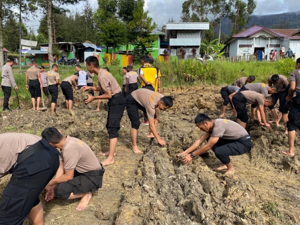 Polres Puncak Buka Lahan Pertanian di Polsek Ilaga