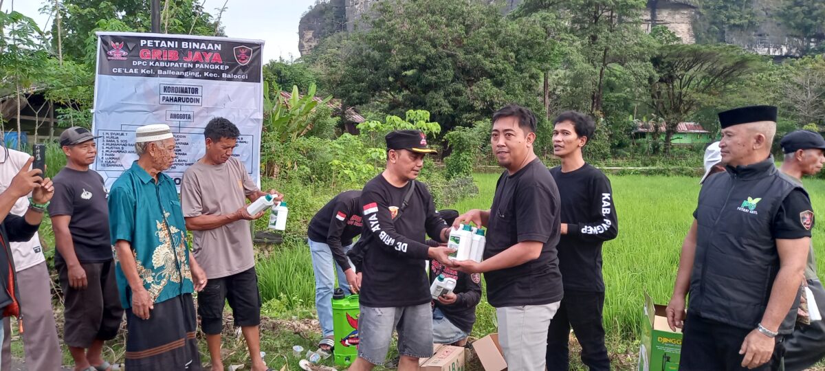 GRIB Jaya Pangkep Salurkan Bantuan Pupuk ke Petani di Kelurahan Balleangin