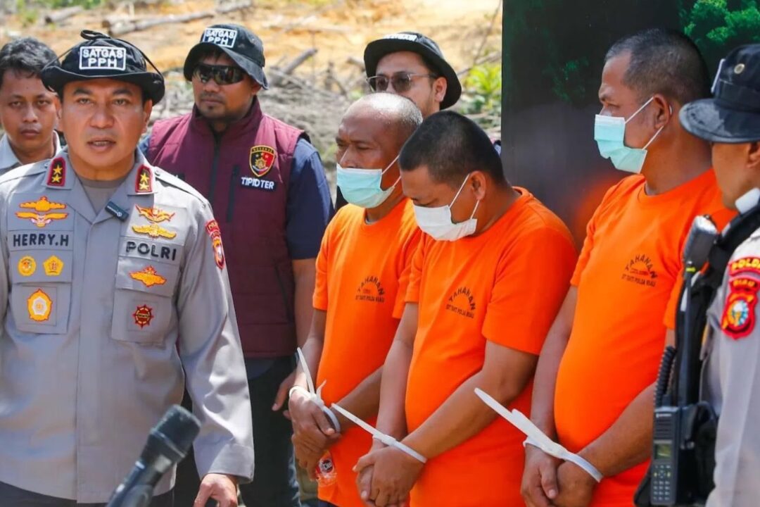 Polda Riau Ungkap Kasus Pembalakan Liar di Kampar