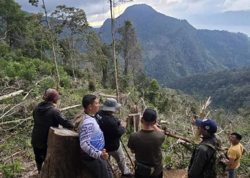 Diduga Alihfungsi Hutan Lindung, Kades di Aceh Tengah Ditangkap
