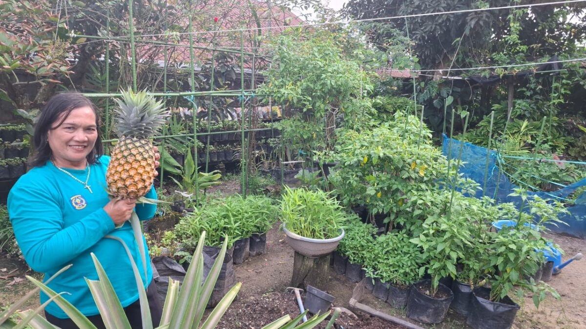 Kabid Ketahanan Pangan Bontang, Pekarangan Bukan Sekadar Ruang, Tapi Aset Produktif