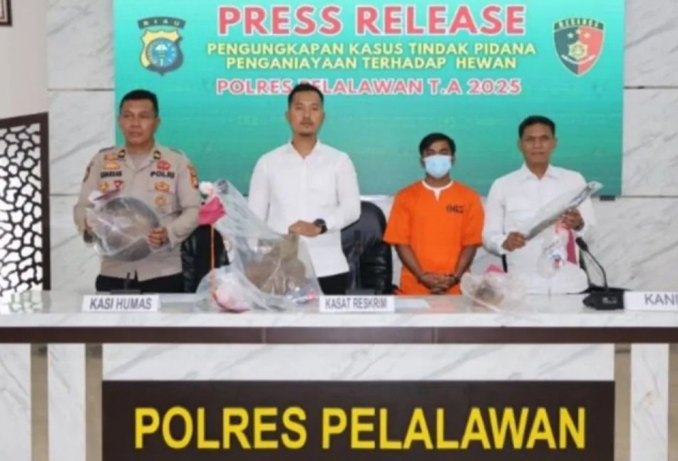 Resahkan Warga, Perdagangan Daging Anjing di Pelalawan Terbongkar