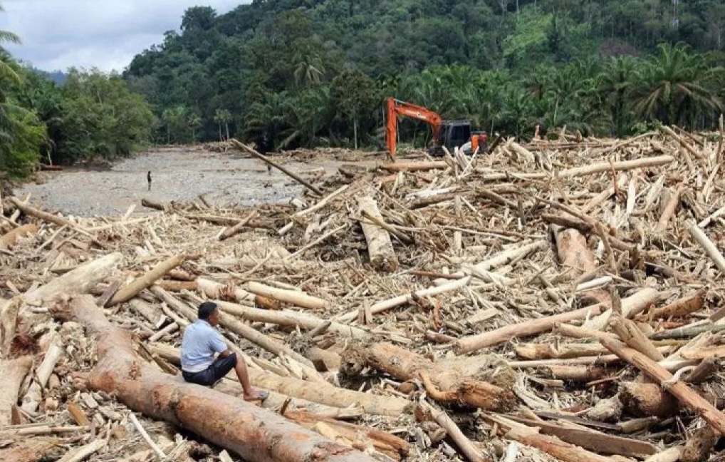 Banjir Sumatera Seret Kayu dalam Jumlah Besar, Bareskrim Selidiki Dugaan Pembalakan Liar