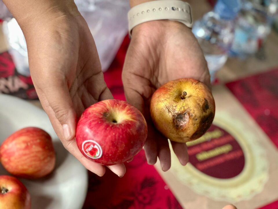 SPPG Tumampua Bantah Keluhan Orang Tua Soal Buah Busuk