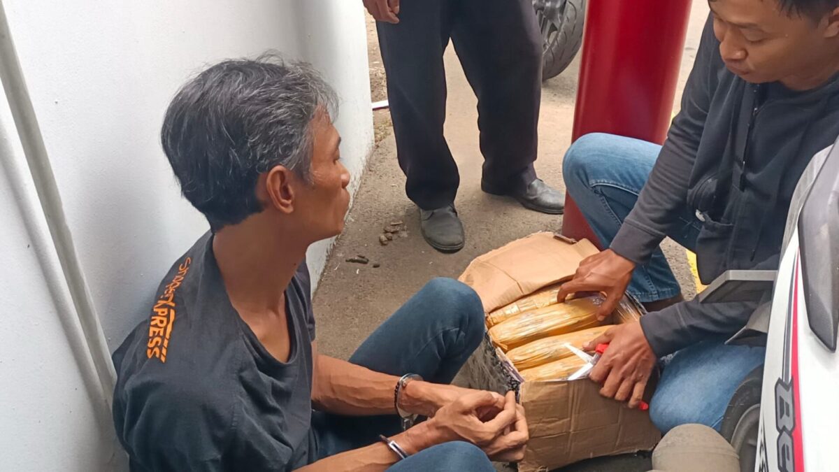 Pria di Cengkareng Kedapatan Bawa Dus Berisi Ganja