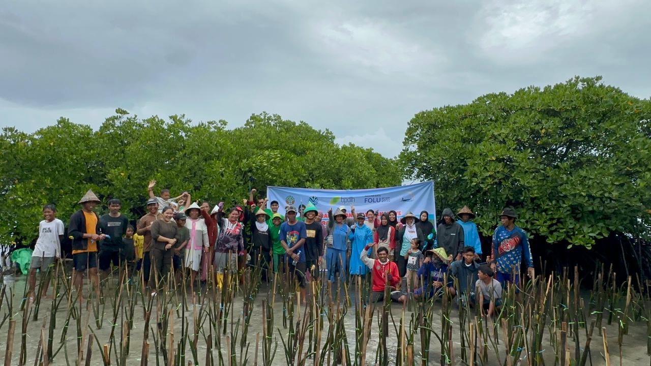 Jaga Lautmu, Jaga Pulau: SAMPANTA Tanam Mangrove di Bangko-Bangkoang