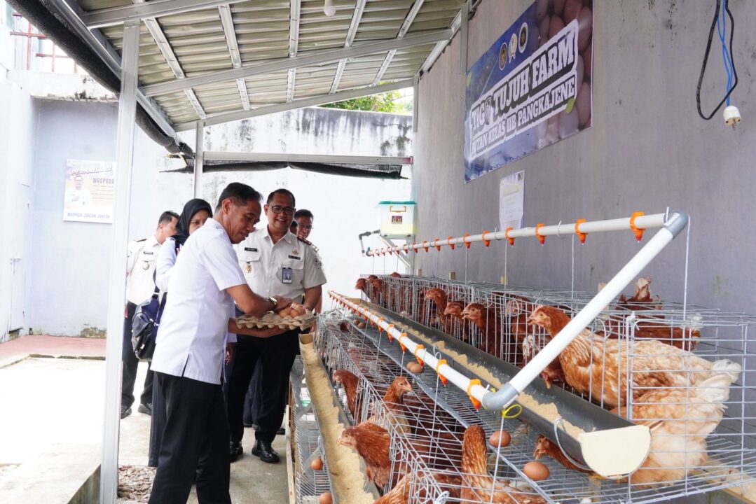 Rutan Pangkep Panen Raya Sayur dan Telur, Penjualan Disalurkan untuk Korban Bencana Aceh