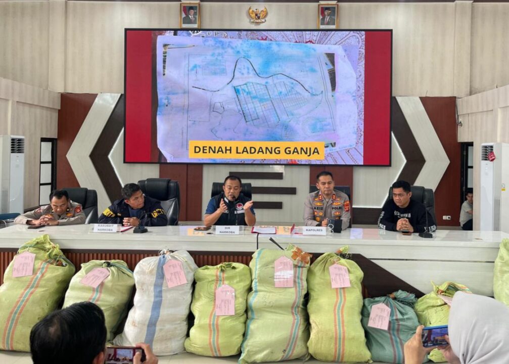 Ladang Ganja 20 Hektar Ditemukan di Empat Lawang, Polisi Sita 220 Kg