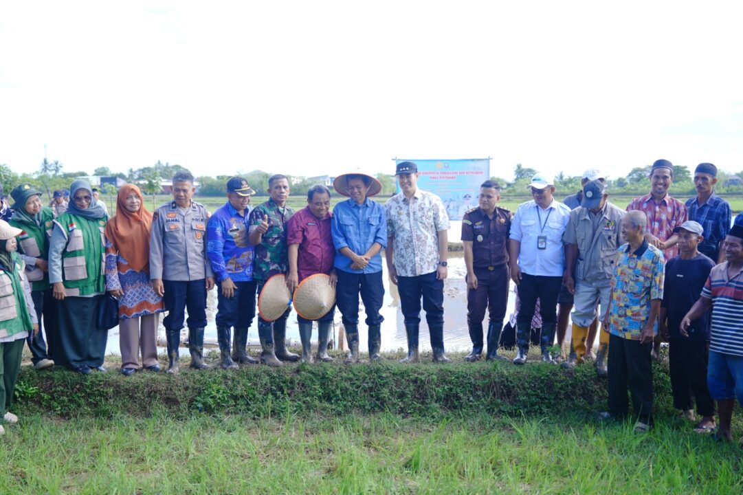 Pangkep Terapkan Sistem Pertanian Modern PM-AAS, Target Produksi Naik 9 Ton per Hektare