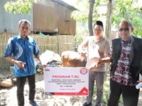 Momen Idul Adha, PT Semen Tonasa Salurkan Bantuan Hewan Kurban