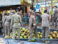Pemkot Makassar Tertibkan 19 Lapak PKL di Kawasan Fort Rotterdam, Relokasi Berjalan Damai