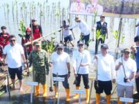 Hari Mangrove Sedunia 2026, Semen Tonasa Ikut Tanam 7.000 Mangrove di Pangkep