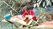 Masyarakat Adat Srer Pertahankan Hutan Leluhur di Tengah Ekspansi Pembangunan Kota