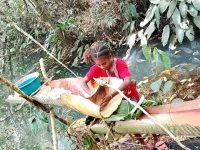 Masyarakat Adat Srer Pertahankan Hutan Leluhur di Tengah Ekspansi Pembangunan Kota