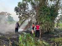 Karhutla Kembali Terjadi di Kutai Timur, 5 Hektare Lahan Belukar Terbakar
