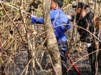 Kebakaran Lahan di Balocci Pangkep, Polisi dan Warga Berjibaku Cegah Api Meluas