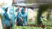 TP PKK Makassar Tinjau Kebun Aku Hatinya PKK di 15 Kecamatan