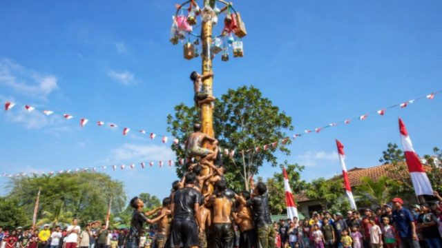 Asal Usul Panjat Pinang: Dari Tradisi Kolonial hingga Menjadi Simbol Perayaan Kemerdekaan