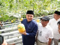 Wali Kota Appi Panen Melon di Bukit Baruga, Urban Farming Masjid Bin Baz Bakal Jadi Percontohan
