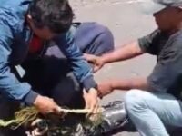 Pencuri di Panti Asuhan Bima Sakti Berhasil Dibekuk