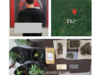 Polres Kutai Timur ungkap kasus ganja 169,37 gram di Karangan