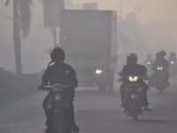 Kabut asap mengganggu jarak pandang pengendara di Maluku Utara.
