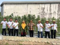 Kakanwil panen kacang panjang di Kebun SAE Lapas Bontang