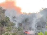 Karhutla Gunung Lesang Pangkep mendekati kawasan konservasi TN Babul